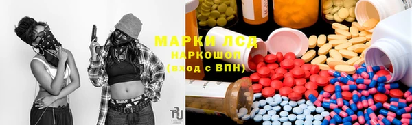 прущие грибы Гусиноозёрск
