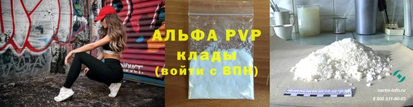 сатива Гусев