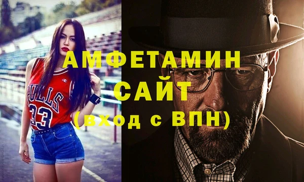 прущие грибы Гусиноозёрск
