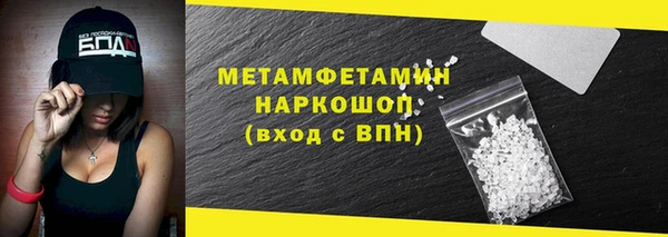 прущие грибы Гусиноозёрск