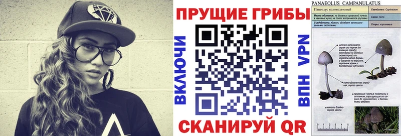 Галлюциногенные грибы мицелий  Оха 